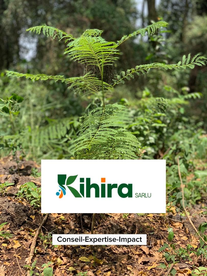 Vision environnementale de KIHIRA Sarlu